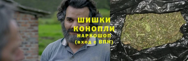 мдпв Бородино