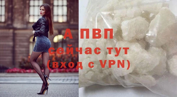 мдпв Бородино