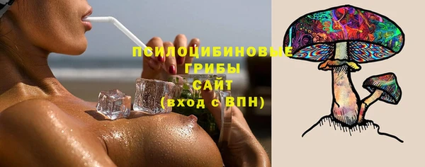 шишки Снежинск