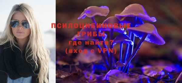 шишки Снежинск