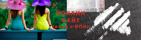 шишки Снежинск