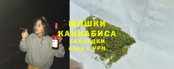 шишки Снежинск