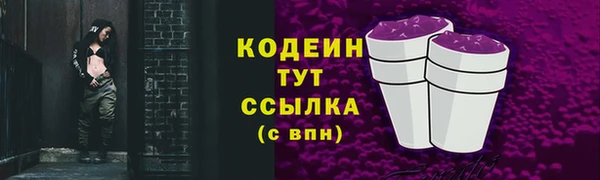 мет Снежногорск