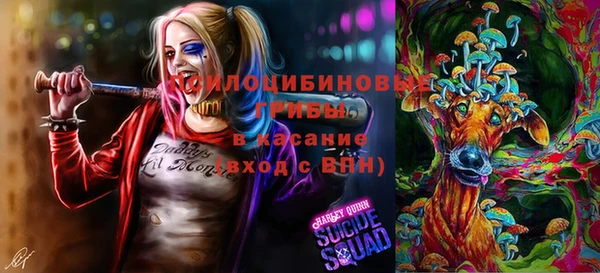шишки Снежинск