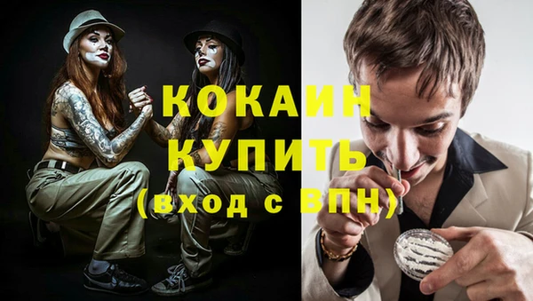 мет Снежногорск