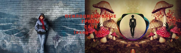 мескалин Бугульма
