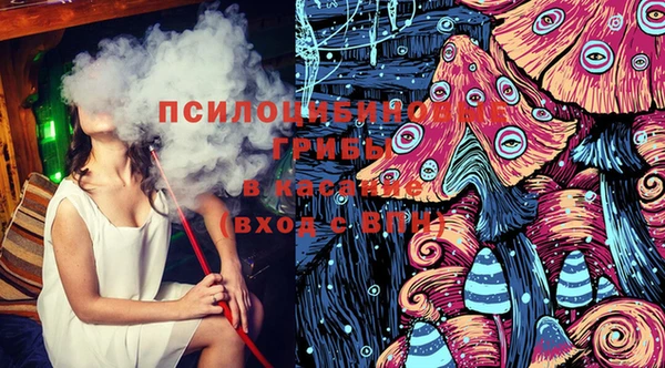 мдпв Бородино